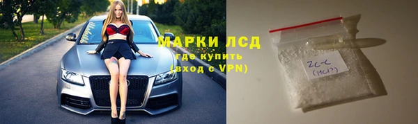 гидра Абаза
