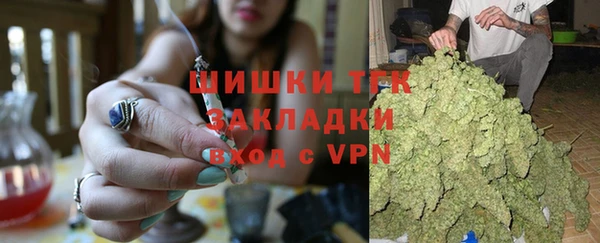 гидра Абаза