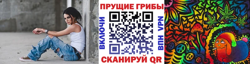 Псилоцибиновые грибы MAGIC MUSHROOMS  купить наркотик  Новотитаровская 